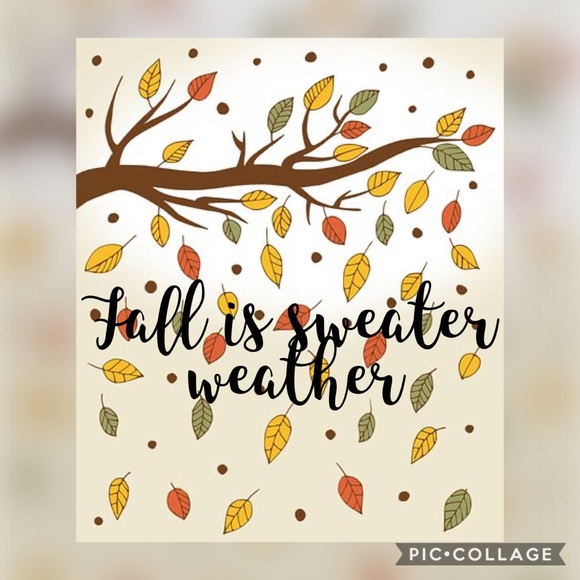 Welcome Spring! - Picture 4 of 4